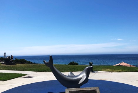 dolphin sculpture in front of the beach