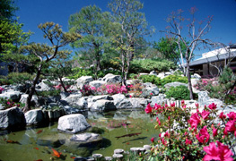 TCAC_Garden_Pond_Thumb